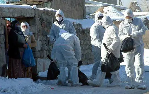 Gli sfollati dal Residence? Vicino allOlgiata