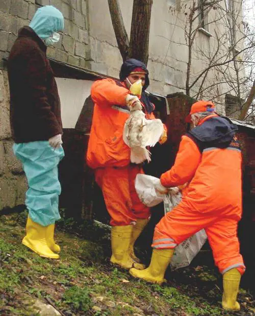 Dopo 38 anni via le baracche del Belice