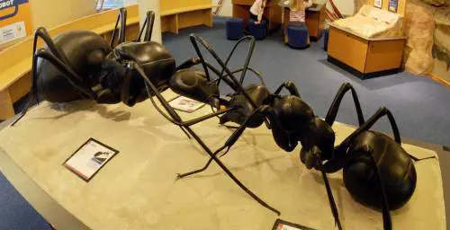 Priscilla e Arianna, la magia si ripete