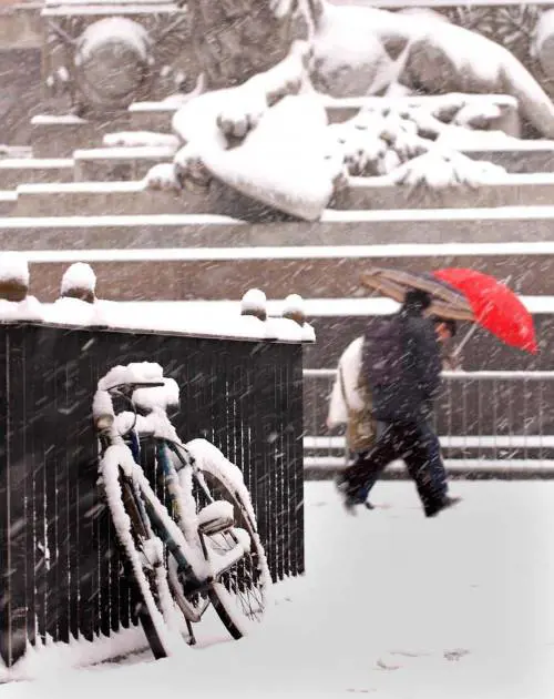 Assolda un killer per farsi uccidere e lascia alle figlie assicurazione doro