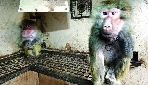 Recordati si rafforza nel mercato tedesco