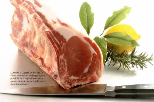 Ciampi frena la corsa del Professore