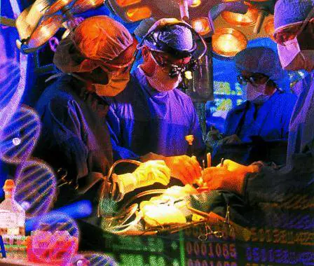 Scrittrice gira gli Usa per contrastare luscita del «Codice da Vinci»