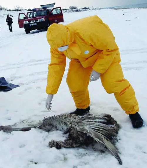«La Superpopolare? È unidea sbagliata»
