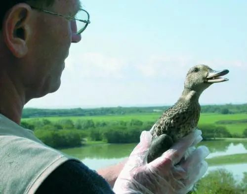 Ancora scontri a Gaza tra al Fatah e  Hamas