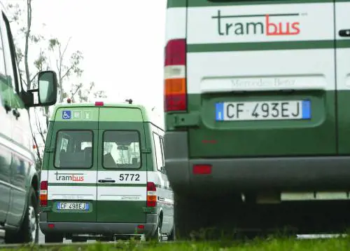 È Piacentini di Amazon litaliano più globale