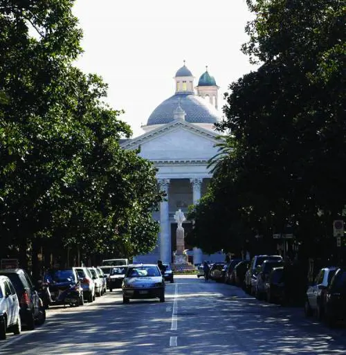 Le palme sfrattano le magnolie a Chiavari scoppia la polemica