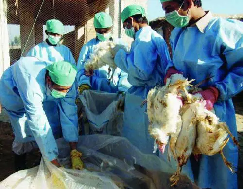 Su Magna Carta unanalisi spietata del veltronismo