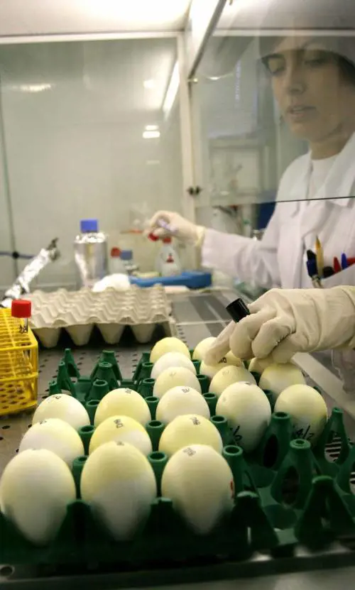 Il dono di mamma Rosa 500mila euro alle nonne