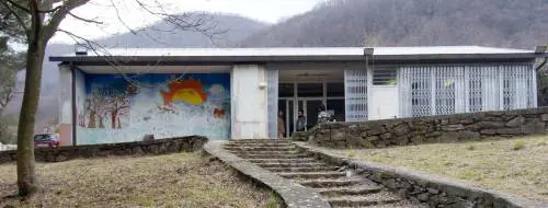 I cani nell’ex scuola finiscono in Comune