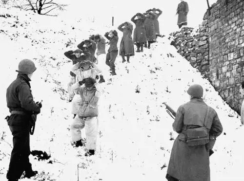 La tigre della Malesia è verde e intelligente