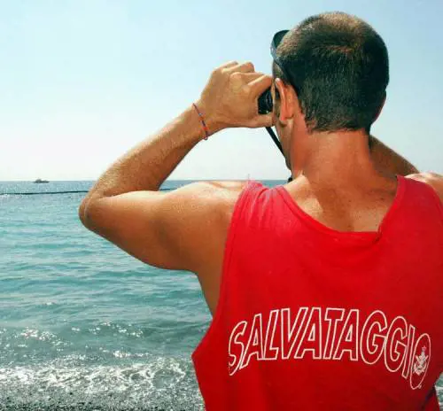 Mare sporco, tocca alle meduse E può arrivare la vera alga killer