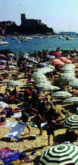 Alga tossica a Lerici, turisti allospedale