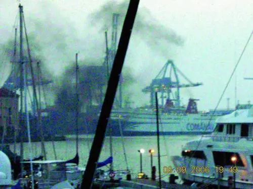 Luliveto di Quarto resiste al cemento