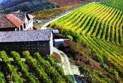 Cherasco, domenica mercato antiquario