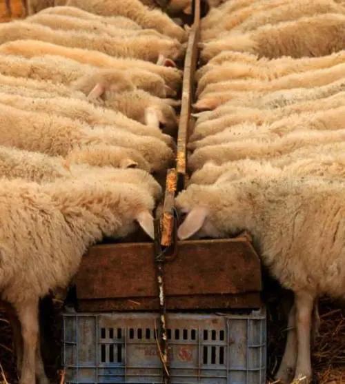 Alla scoperta delle chiese nascoste