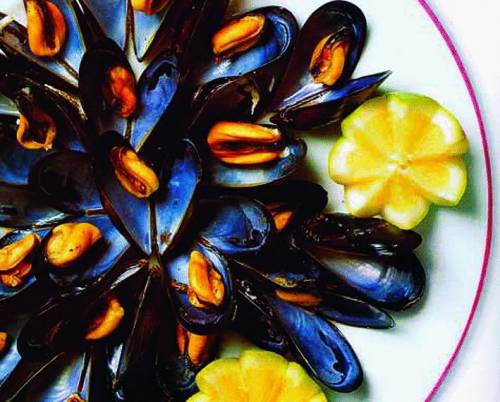 «Cozze nostre e mitili ignoti» in un libro tutto da mangiare