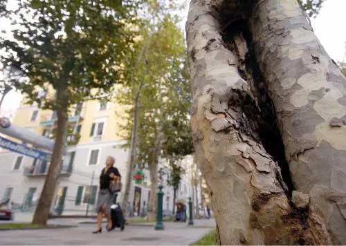I massoni rifanno il look a via Corsica