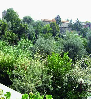 «Il Comune vuol dare lassalto allultimo verde del Levante»