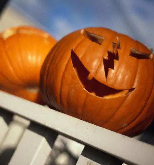 La festa della zucca ha ventanni