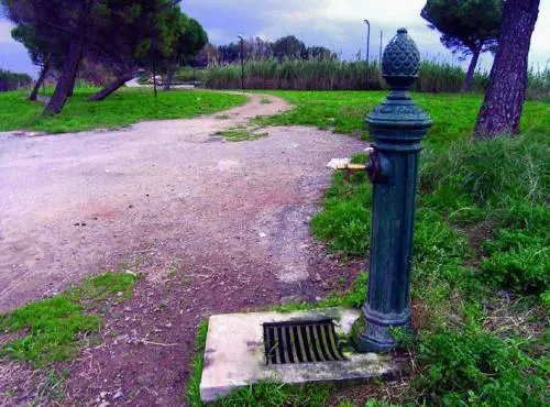 Dove passa Pericu lerba stenta a crescere