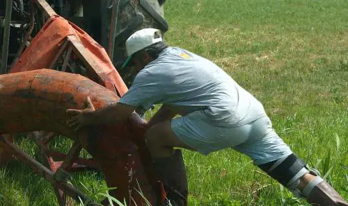 La patata quarantina ha come parassita la troppa burocrazia