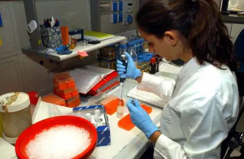 Nel liquido amniotico una miniera di staminali