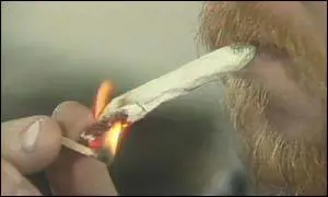 Droga, il Tar alla Turco: chiarisca i criteri per l'innalzamento dei limiti della cannabis