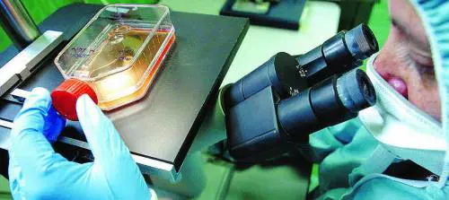 Il supermarket della vita umana 
Ovuli in vendita a seimila euro