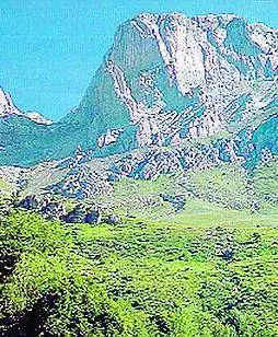 E  torna di moda lidea di Portobello