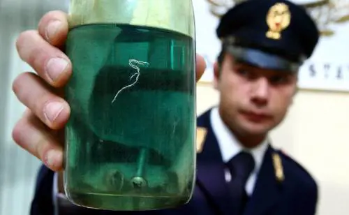 Juve Stabia, calcioscommesse 
dietro le molotov allo stadio