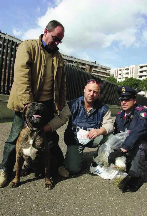 A spasso con il cane per sgominare una banda di «pusher»