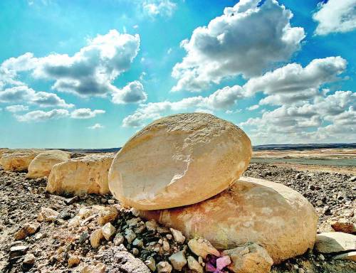 AMOS OZ Nel deserto fioriscono i sentimenti