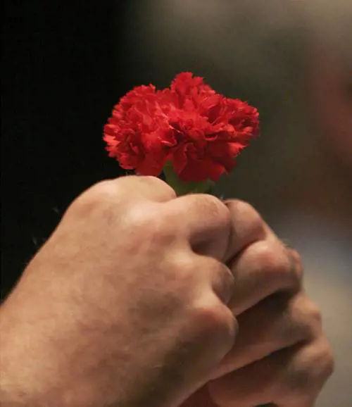 Il nuovo Psi litiga più di quello vecchio