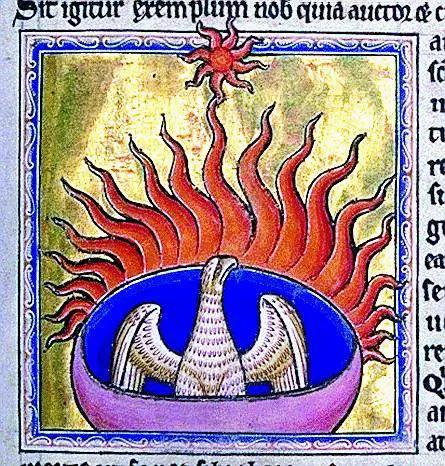 Il corvo che fa laquila diventa schiavo e per la iena «trans» sono dolori