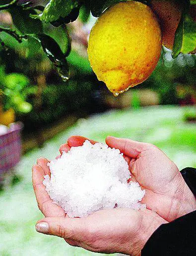 Addio inverno caldo, ecco il gelo di primavera