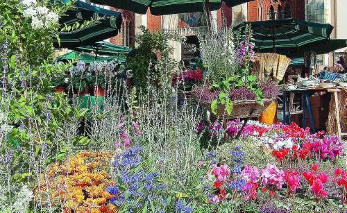 Floralia, San Marco in fiore per i senza tetto