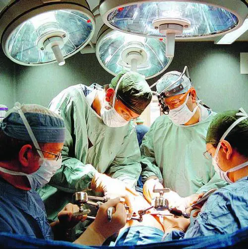 La Turco «regala» ai tedeschi 
il cuore artificiale italiano