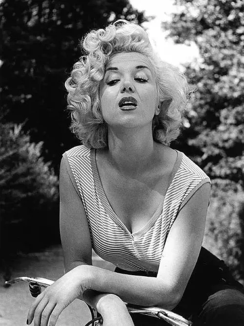 La sosia di Marilyn  che sposò il miliardario
