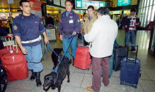 Pistola e bomba in valigia, aeroporto in tilt