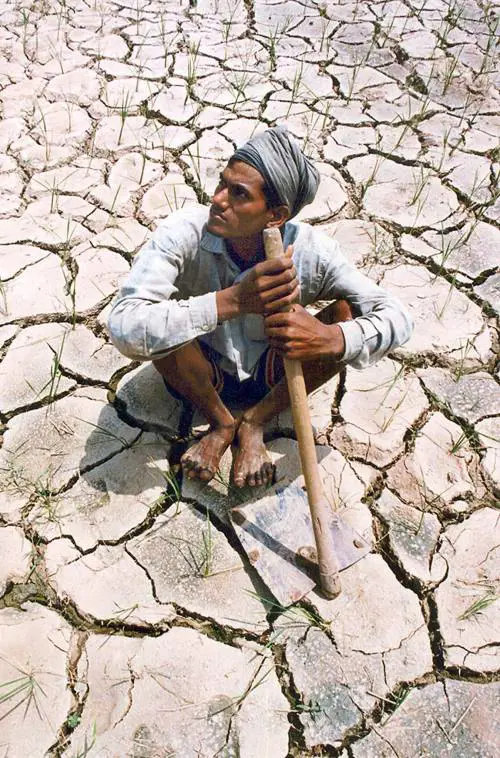 Effetto serra, accordo mondiale: 
rischia una specie vivente su tre