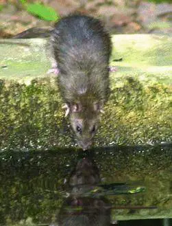 LISTITUTO DI CREDITO APRE UNA NUOVA AGENZIA A PARMA