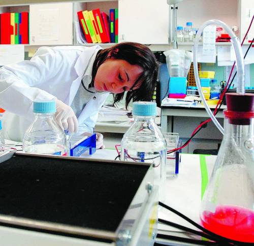Ecco il più grande polo europeo per la ricerca contro il cancro