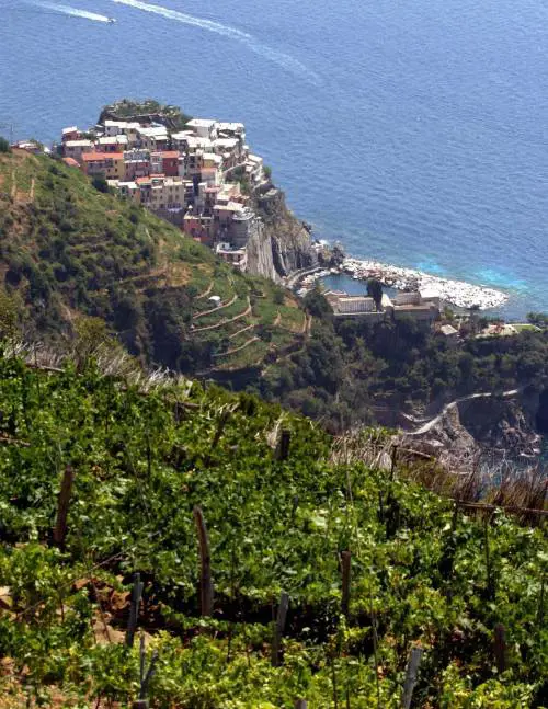 Tra mare e vigneti delle Cinque Terre