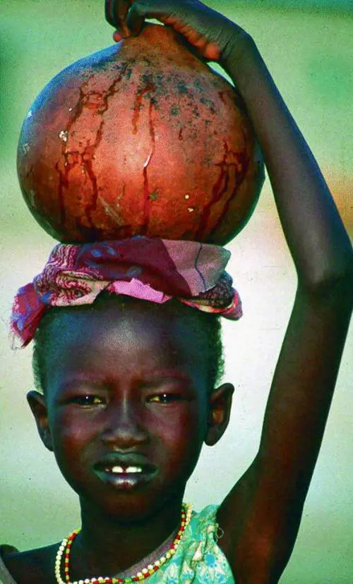 Una ruota dacqua per togliere la sete al Terzo Mondo