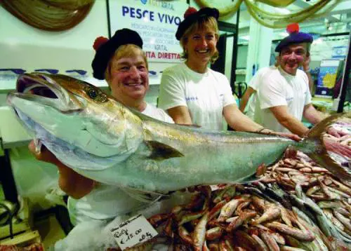 Il Salone del pesce sostenibile dà lOscar a cefali e sugarelli