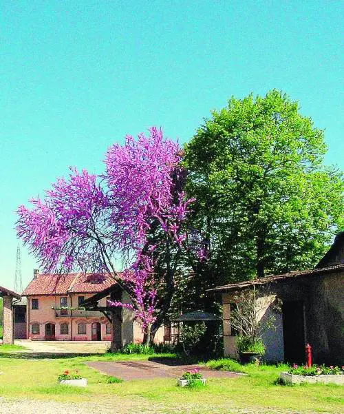 Per corti e cascine di una Milano come bio comanda