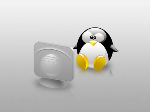 Dell ci darà pc consumer con a bordo il pinguino 