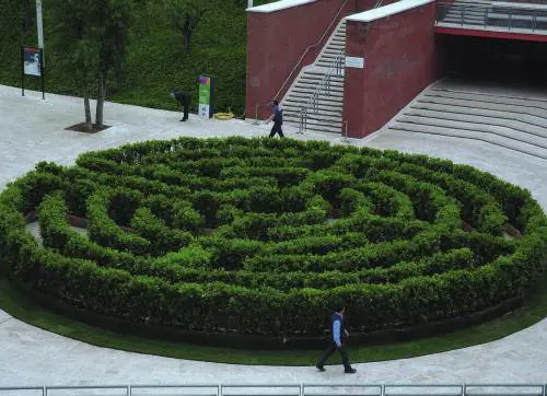 Dallazalea gigante alla «paleo-rosa»