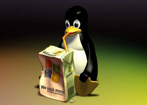 Ben 235 nuove accuse da Microsoft a Linux 